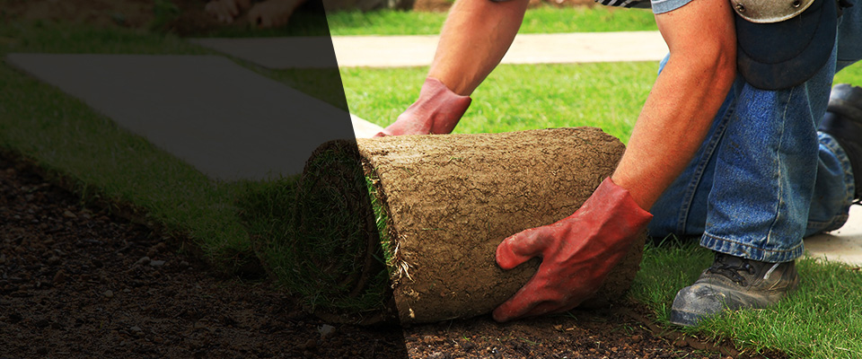 Delevan Landscapers